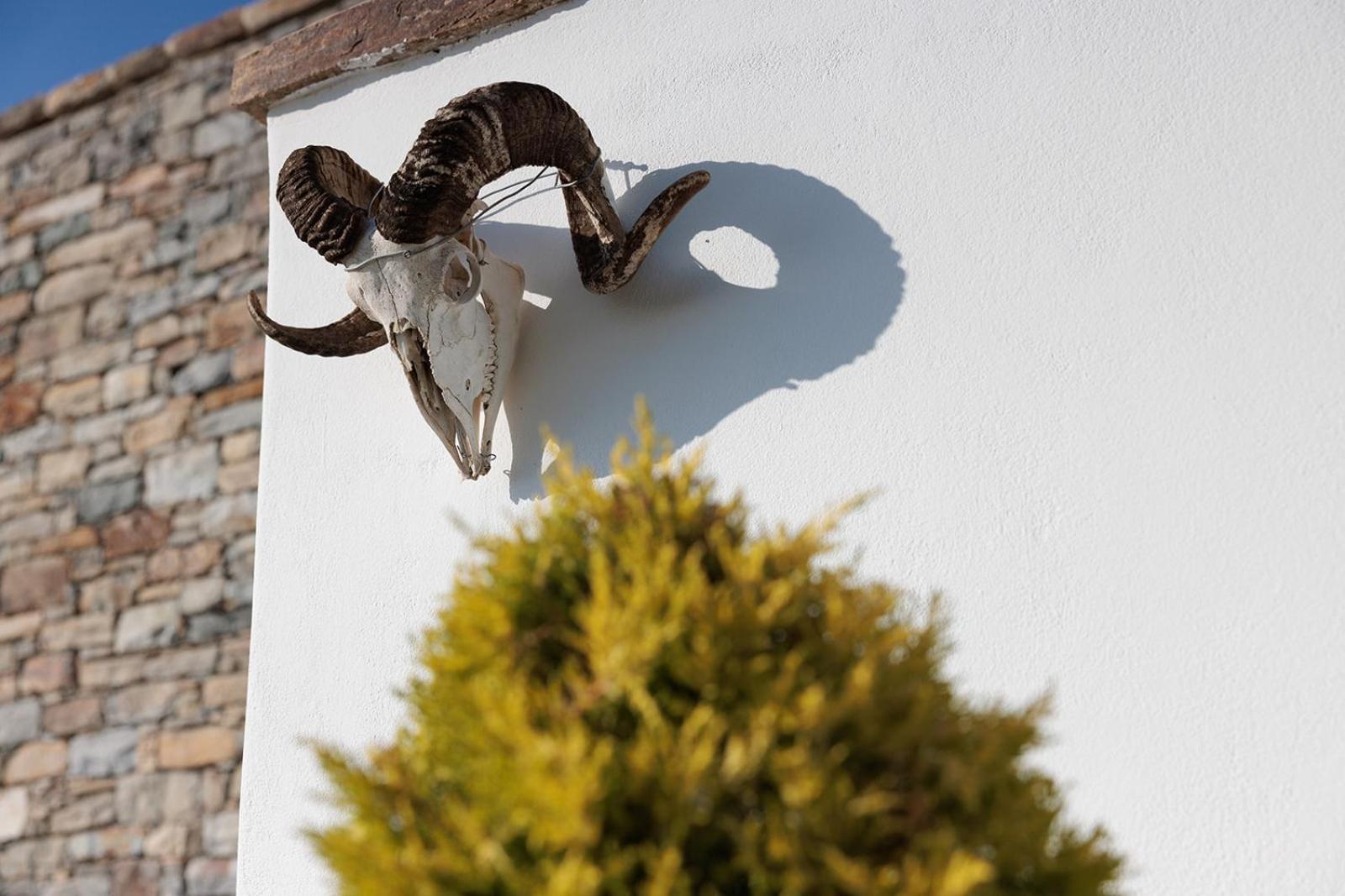 Villa Papa Glinado Naxos ภายนอก รูปภาพ